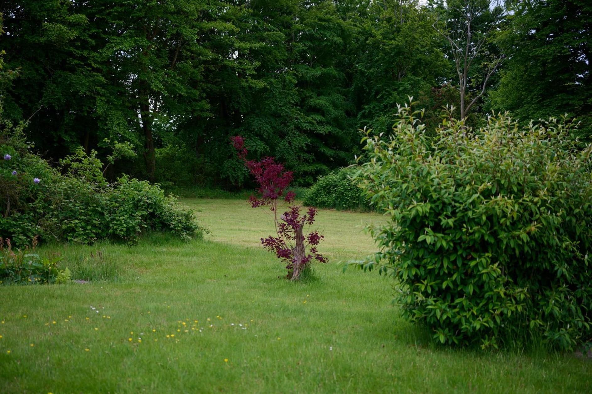 Traumhaus Mit Foerdeblick - Foerde-anker Holiday home